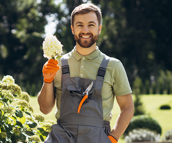 Digital marketing legacy.jpg